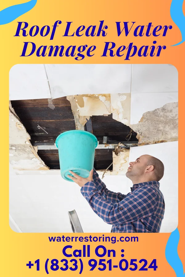 Roof Leak Water Damage Repair in Wills Point, TX